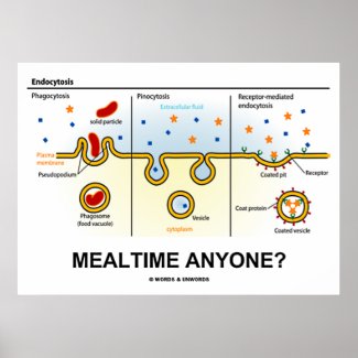 Mealtime Anyone? (Endocytosis Cellular Eating) Print