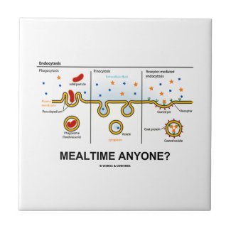 Mealtime Anyone? (Endocytosis Cellular Eating) Ceramic Tiles
