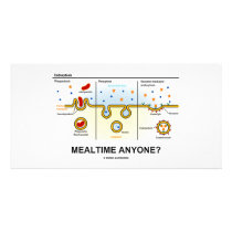Mealtime Anyone? (Endocytosis Digestion Humor) photo cards
