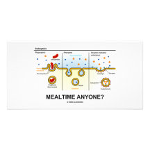 Mealtime Anyone? (Endocytosis Digestion Humor) Photo Card Template