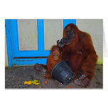 Mealtime with Mommy Orangutan Cards