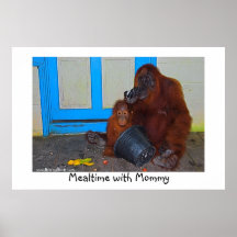 Mealtime with Mommy Orangutan Print