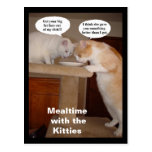 Mealtime with the Kitties Postcard