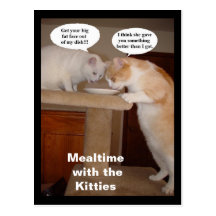 Mealtime with the Kitties Postcard