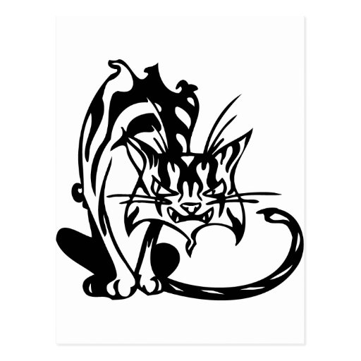 Mean Alley Cat Postcard Zazzle