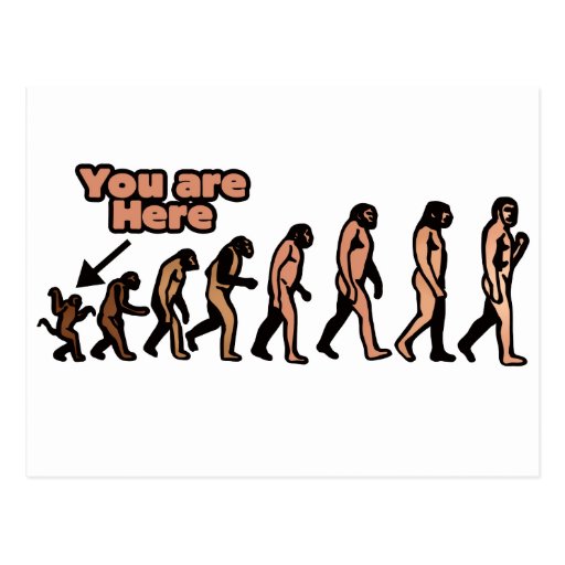 mean-evolution-parody-postcard-zazzle