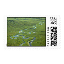 Meandering River Stamps