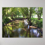 meandering stream print