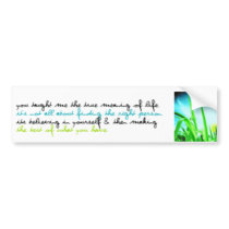 Meaning of LIfe bumper stickers