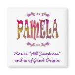 Meaning of Pamela Magnet