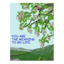 Meaning to my Life Postcard