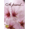Meaningful Pink Sakura Flower Friendship Card card
