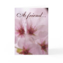Meaningful Pink Sakura Flower Friendship Card