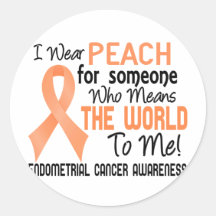 Means The World To Me 2 Endometrial Cancer Round Sticker