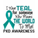 Means The World To Me 2 PKD t-shirts