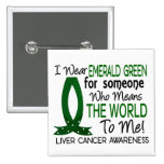 Means The World To Me Liver Cancer Pinback Buttons