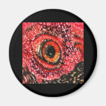 MeatEye magnets