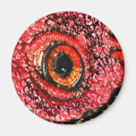 MeatEye magnets