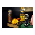 MECA Day of The Dead Poster posters