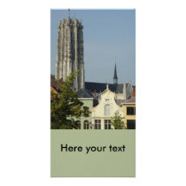 Mechelen #2 picture card