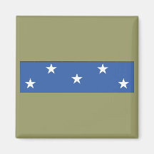 Medal of Honor Ribbon Refrigerator Magnet