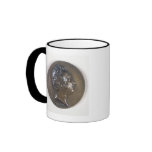 Medallion portrait of Gioacchino Rossini  1829 mugs