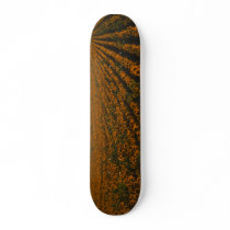 MeddockPhoto_Skateboard_Art