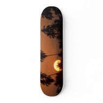 MeddockPhoto_Skateboard_Art by meddock MeddockPhoto_Skateboard_Art