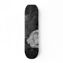 MeddockPhoto_Skateboard_People by meddock MeddockPhoto_Skateboard_People