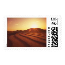 MeddockPhoto_Stamp_Art