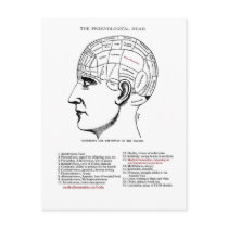 Medical Humanities Phrenology Postcards