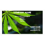 medical marijuana card