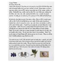 Medicine bag flyer 2 by OjibwaeCrafts Medicine bag flyer 2