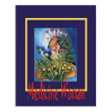 medicine woman posters