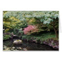 Meditation cards