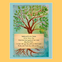 Meditation Card on Growing Older postcards