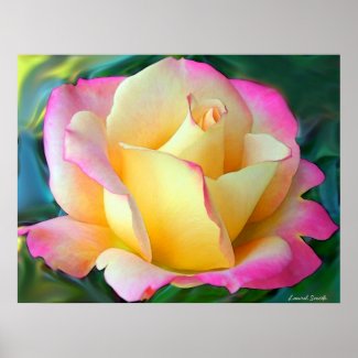 Meditation On A Rose print