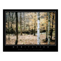 Meditation posters by ccphoto Meditation posters