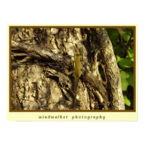 Meditation posters by windwalker Meditation posters