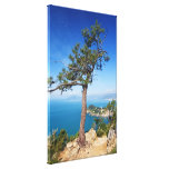 Mediterranean landscape - Sestri Levante Canvas Print