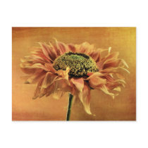 Mediterranean Post Card postcards by kcranmerart Mediterranean Post Card postcards