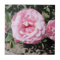 MEDIUM PINK ROSE TILE