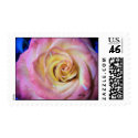 Medium Stamp Pink and Yellow Rose zazzle_stamp