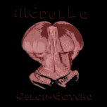 MeDulla Oblon-Gotcha