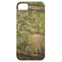 Medusa Head Sculptures Basilica Cistern Istanbul iPhone 5 Case