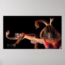 Medusa Poster