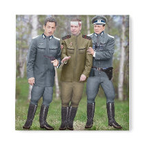 Medvedev magnets