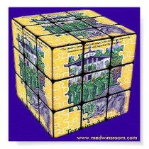 Medwin Cubed Poster posters
