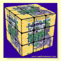 Medwin Cubed Poster posters