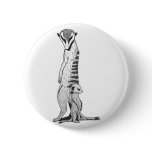 meekcats again pins